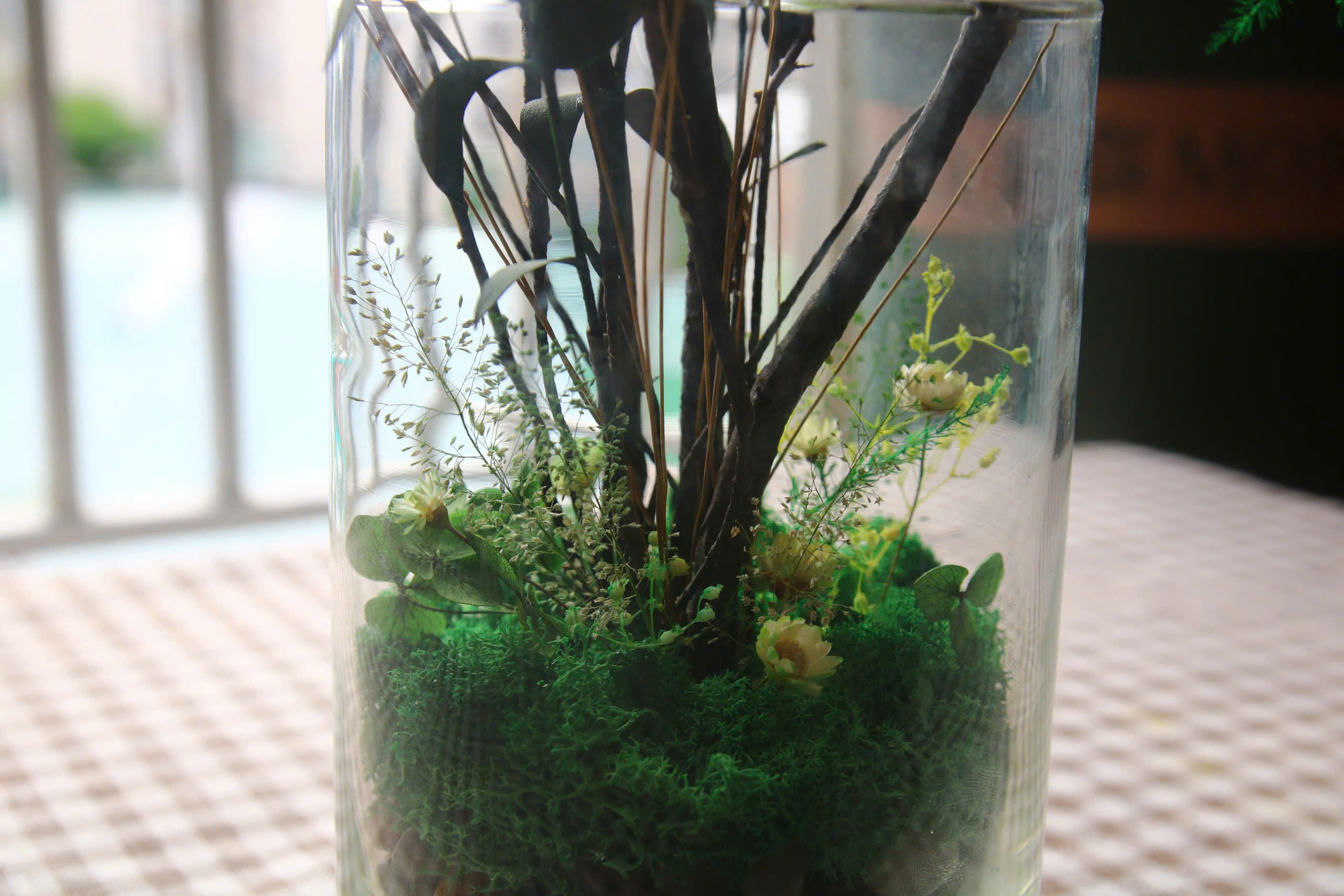 MSP - 01 - 008 - Ảnh 3